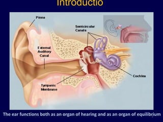 Introductio
                              n




The ear functions both as an organ of hearing and as an organ of equilibrium
                                                                        2
 