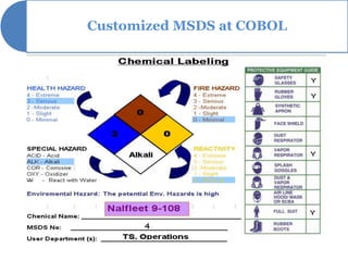 Customized MSDS at COBOL
 