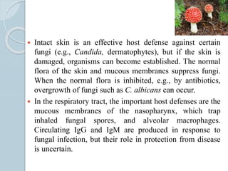  Intact skin is an effective host defense against certain
fungi (e.g., Candida, dermatophytes), but if the skin is
damaged, organisms can become established. The normal
flora of the skin and mucous membranes suppress fungi.
When the normal flora is inhibited, e.g., by antibiotics,
overgrowth of fungi such as C. albicans can occur.
 In the respiratory tract, the important host defenses are the
mucous membranes of the nasopharynx, which trap
inhaled fungal spores, and alveolar macrophages.
Circulating IgG and IgM are produced in response to
fungal infection, but their role in protection from disease
is uncertain.
 