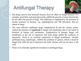 Antifungal Therapy
 The drugs used to treat bacterial diseases have no effect on fungal diseases. For
example, penicillins and aminoglycosides inhibit the growth of many bacteria but
do not affect the growth of fungi. This difference is explained by the presence of
certain structures in bacteria, e.g., peptidoglycan and 70S ribosomes, that are
absent in fungi.
 The most effective antifungal drugs, amphotericin B and the various azoles,
exploit the presence of ergosterol in fungal cell membranes that is not found in
bacterial or human cell membranes. Amphotericin B disrupts fungal cell
membranes at the site of ergosterol and azole drugs inhibit the synthesis of
ergosterol, which is an essential component of fungal membranes. Another
antifungal drug, caspofungin , inhibits the synthesis of -glucan, which is found in
fungal cell walls but not in bacterial cell walls. Human cells do not have a cell
wall.
 There is no clinically significant resistance to antifungal drugs.
 