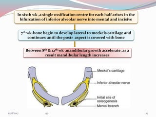 In sixth wk ,a single ossification centre for each half arises in the
bifurcation of inferior alveolar nerve into mental and incisive
7th wk-bone begin to develop lateral to meckels cartilage and
continues until the postr aspect is covered with bone
Between 8th & 12th wk ,mandibular growth accelerate ,as a
result mandibular length increases
293/1/2017 99
 