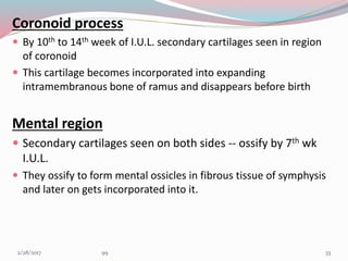 Coronoid process
 By 10th to 14th week of I.U.L. secondary cartilages seen in region
of coronoid
 This cartilage becomes incorporated into expanding
intramembranous bone of ramus and disappears before birth
Mental region
 Secondary cartilages seen on both sides -- ossify by 7th wk
I.U.L.
 They ossify to form mental ossicles in fibrous tissue of symphysis
and later on gets incorporated into it.
333/1/2017 99
 