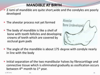 MANDIBLE AT BIRTH
 2 rami of mandible are quite short,wide and the condyles are poorly
developed
 The alveolar process not yet formed
 The body of mandible is like a shell of
bone with tooth follicles and developing
crowns of teeth which are covered by
occlusal gum pads
 The angle of the mandible is about 175 degree with condyle nearly
in line with the body
 Initial separation of the two mandibular halves by fibrocartilage and
connective tissue which is eliminated gradually as ossification occurs
between 4th month to 1st year.
353/1/2017 99
 