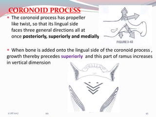 CORONOID PROCESS
 The coronoid process has propeller
like twist, so that its lingual side
faces three general directions all at
once posteriorly, superiorly and medially.
 When bone is added onto the lingual side of the coronoid process ,
growth thereby precedes superiorly and this part of ramus increases
in vertical dimension
453/1/2017 99
 