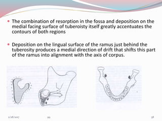  The combination of resorption in the fossa and deposition on the
medial facing surface of tuberoisty itself greatly accentuates the
contours of both regions
 Deposition on the lingual surface of the ramus just behind the
tuberosity produces a medial direction of drift that shifts this part
of the ramus into alignment with the axis of corpus.
583/1/2017 99
 