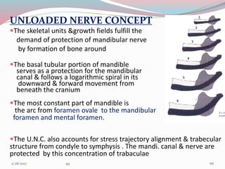 UNLOADED NERVE CONCEPT
The skeletal units &growth fields fulfill the
demand of protection of mandibular nerve
by formation of bone around
The basal tubular portion of mandible
serves as a protection for the mandibular
canal & follows a logarithmic spiral in its
downward & forward movement from
beneath the cranium
The most constant part of mandible is
the arc from foramen ovale to the mandibular
foramen and mental foramen.
The U.N.C. also accounts for stress trajectory alignment & trabecular
structure from condyle to symphysis . The mandi. canal & nerve are
protected by this concentration of trabaculae
663/1/2017 99
 