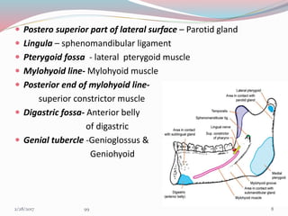  Postero superior part of lateral surface – Parotid gland
 Lingula – sphenomandibular ligament
 Pterygoid fossa - lateral pterygoid muscle
 Mylohyoid line- Mylohyoid muscle
 Posterior end of mylohyoid line-
superior constrictor muscle
 Digastric fossa- Anterior belly
of digastric
 Genial tubercle -Genioglossus &
Geniohyoid
83/1/2017 99
 