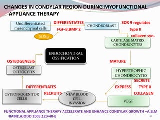 CHANGES IN CONDYLAR REGION DURING MYOFUNCTIONAL
APPLIANCE THERAPY
DIFFERENTIATES SOX 9 regulates
FGF-8,BMP 2 type II
collagen syn.
OSTEOGENESIS MATURE
SECRETE
DIFFERENTIATES EXPRESS TYPE X
RECRUITS COLLAGEN
FUNCTIONAL APPLIANCE THERAPY ACCELERATE AND ENHANCE CONDYLAR GROWTH –A.B.M
RABIE,AJODO 2003;123-40-8
Undifferentiated
mesenchymal cells
SOX9
CHONDROBLAST
CARTILAGE MATRIX
CHONDROCYTES
HYPERTROPHIC
CHONDROCYTES
VEGF
NEW BLOOD
CELL
INVASION
OSTEOPROGENITOR
CELLS
OSTEOBLAST
OSTEOCYTES
ENDOCHONDRAL
OSSIFICATION
913/1/2017 99
 