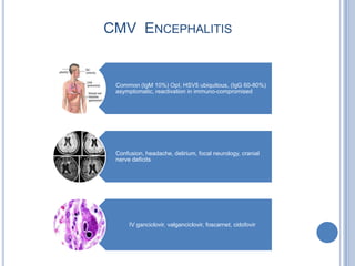 CMV ENCEPHALITIS


 Common (IgM 10%) OpI, HSV5 ubiquitous, (IgG 60-80%)
 asymptomatic, reactivation in immuno-compromised




 Confusion, headache, delirium, focal neurology, cranial
 nerve deficits




      IV ganciclovir, valganciclovir, foscarnet, cidofovir
 