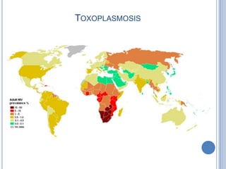 TOXOPLASMOSIS
 