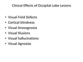 Clinical Effects of Occipital Lobe Lesions
• Visual Field Defects
• Cortical blindness
• Visual Anosognosia
• Visual Illusions
• Visual hallucinations
• Visual Agnosias
 