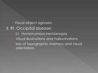 Occipital lobe ppt