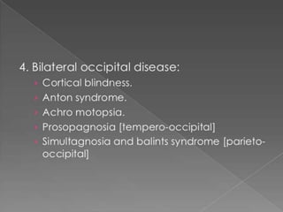 Occipital lobe ppt