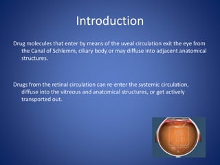 Introduction
Drug molecules that enter by means of the uveal circulation exit the eye from
the Canal of Schlemm, ciliary body or may diffuse into adjacent anatomical
structures.
Drugs from the retinal circulation can re-enter the systemic circulation,
diffuse into the vitreous and anatomical structures, or get actively
transported out.
 