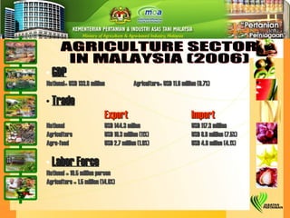 AGRICULTURE SECTOR  IN MALAYSIA (2006) GDP National= USD 133.8 million  Agriculture= USD 11.6 million (8.7%) Trade Export Import National USD 144.3 millon USD 117.3 million Agriculture USD 16.3 million (11%) USD 8.8 million (7.5%) Agro-food USD 2.7 million (1.9%) USD 4.8 milion (4.1%) Labor Force National = 10.5 million person Agriculture = 1.5 million (14.6%) 