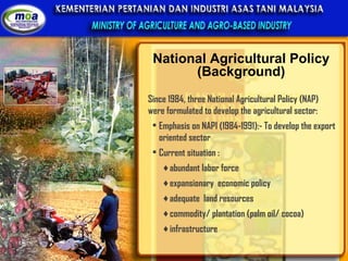 National Agricultural Policy (Background) Since 1984, three National Agricultural Policy (NAP) were formulated to develop the agricultural sector: Emphasis on NAP1 (1984-1991):- To develop the export oriented sector Current situation : abundant labor force  expansionary  economic policy adequate  land resources commodity/ plantation (palm oil/ cocoa)  infrastructure 