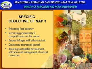 SPECIFIC  OBJECTIVE OF NAP 3 Enhancing food security Increasing productivity & competitiveness of the sector Deepen linkages with other sectors Create new sources of growth Adopting sustainable development, utilization and management of natural resources 