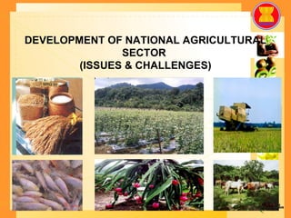 DEVELOPMENT OF NATIONAL AGRICULTURAL SECTOR  (ISSUES & CHALLENGES) 