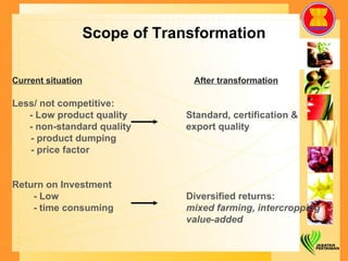 Scope of Transformation Current situation     After transformation Less/ not competitive: - Low product quality   Standard, certification &  - non-standard quality   export quality - product dumping - price factor Return on Investment - Low Diversified returns: - time consuming mixed farming, intercropping value-added 