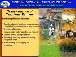 Transformation of Traditional Farmers Transforming of Farmers’ Association   Changing mindset of traditional farmers through capacity building and motivational programmers Creating model projects involving paddy, fruits, vegetables and livestock Contract farming & integrated farms Processing, marketing, value added, supply linkages activities Mixed cropping, inter-cropping and  integration 