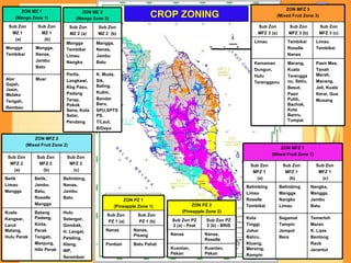 CROP ZONING  ZON MFZ 1 (Mixed Fruit Zone 1) Sub Zon MFZ 1 (a) Sub Zon MFZ 1 (b) Sub Zon MFZ 1 (c) Belimbing  Limau Roselle Tembikai Belimbing  Mangga Nangka  Limau Nangka,  Mangga, Jambu  Batu Kota  Tinggi,  Johor  Bahru, Kluang, Mersing,  Rompin Segamat  Tampin Jempol Bera Temerloh Maran  K. Lipis Bentong  Raub Jerantut ZON MFZ 2 (Mixed Fruit Zone 2) Sub Zon MFZ 2 (a) Sub Zon MFZ 2 (b) Sub Zon MFZ 2 (c) Betik  Limau Mangga Betik, Jambu Batu, Roselle  Mangga Belimbing,  Nanas, Jambu  Batu Kuala Kangsar, Larut Matang, Hulu Perak Batang Padang, Kinta, Perak Tengah, Manjung, Hilir Perak Hulu Selangor, Gombak, H. Langat, Petaling, Klang, WP, Seremban ZON MFZ 3 (Mixed Fruit Zone 3) Sub Zon MFZ 3 (a) Sub Zon MFZ 3 (b) Sub Zon MFZ 3 (c) Limau Tembikai Roselle Nanas Limau Tembikai Kemaman Dungun, Hulu Terengganu Marang, Kuala Terengganu, Setiu, Besut, Pasir Putih, Bachok, Kota Banru, Tumpat Pasir Mas, Tanah Merah, Macang, Jeli, Kuala Kerai, Gua Musang ZON MZ 1 (Mango Zone 1) Sub Zon MZ 1 (a) Sub Zon MZ 1 (b) Mangga Tembikai Mangga, Nanas, Jambu Batu Alor Gajah, Jasin, Melaka Tengah, Rembau Muar ZON MZ 2 (Mango Zone 2) Sub Zon MZ 2 (a) Sub Zon MZ 2  (b) Mangga Tembikai Limau Nangka Mangga, Nanas, Jambu Batu Perlis, Langkawi, Kbg Pasu, Padang Terap, Pokok Sena, Kota Setar, Pendang K. Muda, Sik, Baling, Kulim, Bandar Baru, SPU,SPTSPS, T/Laut, B/Daya ZON PZ 1 (Pineapple Zone 1) Sub Zon  PZ 1 (a) Sub Zon  PZ 1 (b) Nanas Nanas, Pisang Pontian Batu Pahat ZON PZ 2 (Pineapple Zone 2) Sub Zon PZ 2 (a) - Peat Sub Zon PZ 2 (b) - BRIS Nanas Nanas, Roselle Kuantan, Pekan Kuantan, Pekan 