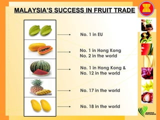 No. 1 in EU No. 1 in Hong Kong  No. 2 in the world No. 1 in Hong Kong & No. 12 in the world No. 17 in the world No. 18 in the world MALAYSIA’S SUCCESS IN FRUIT TRADE 