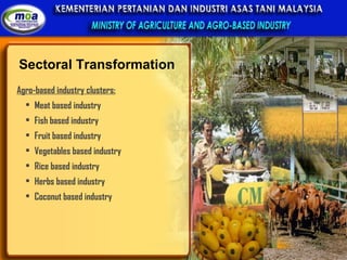 Sectoral Transformation Agro-based industry clusters: Meat based industry Fish based industry Fruit based industry Vegetables based industry Rice based industry Herbs based industry Coconut based industry 