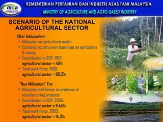 SCENARIO OF THE NATIONAL AGRICULTURAL SECTOR After Independent: Malaysian an agricultural nation Economic activity over dependant on agriculture & mining Contribution to GDP, 1957:  agricultural sector = 46% Total work force, 1966:  agricultural sector = 80.3% “ New Millennium” Era Malaysian well known as producer of manufacturing products  Contribution to GDP, 2003:  agricultural sector = 8.45% Total work force, 2003:  agricultural sector = 14.3% 