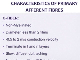 4/5/2014
CHARACTERISTICS OF PRIMARY
AFFERENT FIBRES
C-FIBER:
• Non-Myelinated
• Diameter less than 2 films
• -0.5 to 2 m/s conduction velocity
• Terminate in I and n layers
• Slow, diffuse, dull, aching
 