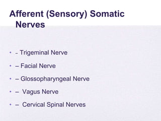 4/5/2014
Afferent (Sensory) Somatic
Nerves
• – Trigeminal Nerve
• – Facial Nerve
• – Glossopharyngeal Nerve
• – Vagus Nerve
• – Cervical Spinal Nerves
 