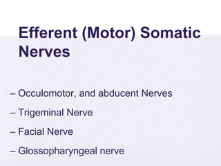 4/5/2014
Efferent (Motor) Somatic
Nerves
– Occulomotor, and abducent Nerves
– Trigeminal Nerve
– Facial Nerve
– Glossopharyngeal nerve
 