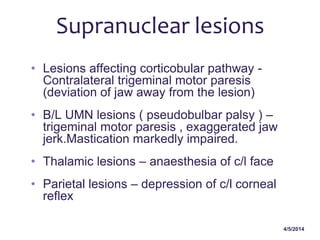 4/5/2014
Supranuclear lesions
• Lesions affecting corticobular pathway -
Contralateral trigeminal motor paresis
(deviation of jaw away from the lesion)
• B/L UMN lesions ( pseudobulbar palsy ) –
trigeminal motor paresis , exaggerated jaw
jerk.Mastication markedly impaired.
• Thalamic lesions – anaesthesia of c/l face
• Parietal lesions – depression of c/l corneal
reflex
 