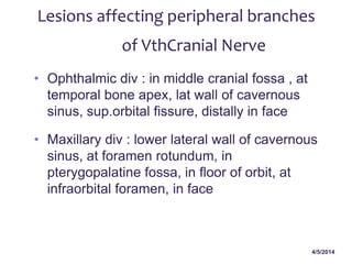 4/5/2014
Lesions affecting peripheral branches
of VthCranial Nerve
• Ophthalmic div : in middle cranial fossa , at
temporal bone apex, lat wall of cavernous
sinus, sup.orbital fissure, distally in face
• Maxillary div : lower lateral wall of cavernous
sinus, at foramen rotundum, in
pterygopalatine fossa, in floor of orbit, at
infraorbital foramen, in face
 