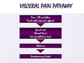 4/5/2014
VISCERAL PAIN PATHWAY
Pain - Aδ and fibers
Travel with autonomic afferent
Spinal cord
(Dorsal Horn)
Lat. spinothalmic tract
Thalamus
Somatosensory Cortex
 