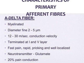 4/5/2014
CHARACTERISTICS OF
PRIMARY
AFFERENT FIBRES
A-DELTA FIBER:
• Myelinated
• Diameter fine 2 - 5 μm
• 12 - 30 m/sec. conduction velocity
• Terminated at I and V layer
• Fast pain, rapid, pricking and well localized
• Neurotransmitter - Glutamate
• 20% pain conduction
 