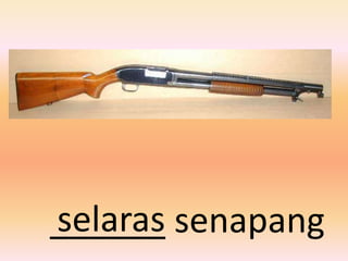 selaras
______ senapang
 