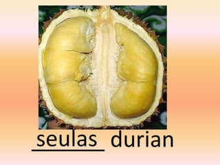 seulas
______ durian
 