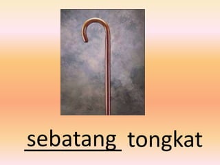 sebatang
________ tongkat
 