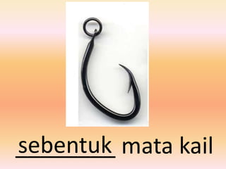 sebentuk
________ mata kail
 