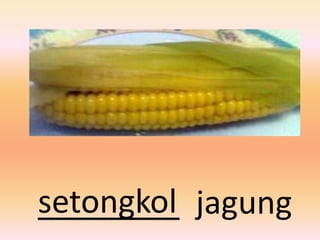 setongkol jagung
________
 