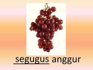 segugus
_______ anggur
 