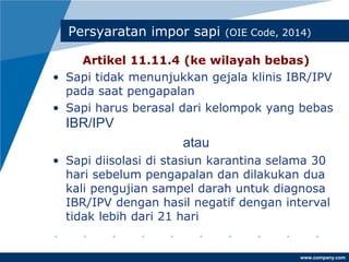 www.company.com
Persyaratan impor sapi (OIE Code, 2014)
Artikel 11.11.4 (ke wilayah bebas)
• Sapi tidak menunjukkan gejala klinis IBR/IPV
pada saat pengapalan
• Sapi harus berasal dari kelompok yang bebas
IBR/IPV
atau
• Sapi diisolasi di stasiun karantina selama 30
hari sebelum pengapalan dan dilakukan dua
kali pengujian sampel darah untuk diagnosa
IBR/IPV dengan hasil negatif dengan interval
tidak lebih dari 21 hari
 