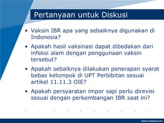 www.company.com
Pertanyaan untuk Diskusi
• Vaksin IBR apa yang sebaiknya digunakan di
Indonesia?
• Apakah hasil vaksinasi dapat dibedakan dari
infeksi alam dengan penggunaan vaksin
tersebut?
• Apakah sebaiknya dilakukan penerapan syarat
bebas kelompok di UPT Perbibitan sesuai
artikel 11.11.3 OIE?
• Apakah persyaratan impor sapi perlu direvisi
sesuai dengan perkembangan IBR saat ini?
 