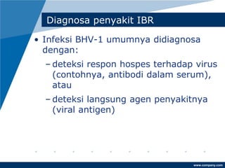 www.company.com
Diagnosa penyakit IBR
• Infeksi BHV-1 umumnya didiagnosa
dengan:
– deteksi respon hospes terhadap virus
(contohnya, antibodi dalam serum),
atau
– deteksi langsung agen penyakitnya
(viral antigen)
 