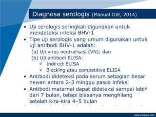 www.company.com
Diagnosa serologis (Manual OIE, 2014)
• Uji serologis seringkali digunakan untuk
mendeteksi infeksi BHV-1
• Tipe uji serologis yang umum digunakan untuk
uji antibodi BHV-1 adalah:
(a) Uji virus neutralisasi (VN); dan
(b) Uji antibodi ELISA:
✓ Indirect ELISA
✓ Blocking atau competitive ELISA
• Antibodi dideteksi pada serum sebagian besar
hewan antara 2-3 minggu pasca infeksi
• Antibodi maternal dapat dideteksi sampai lebih
dari 7 bulan, tetapi biasanya menghilang
setelah kira-kira 4–5 bulan
 