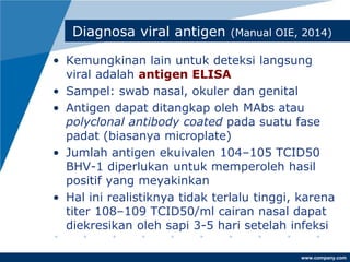 www.company.com
Diagnosa viral antigen (Manual OIE, 2014)
• Kemungkinan lain untuk deteksi langsung
viral adalah antigen ELISA
• Sampel: swab nasal, okuler dan genital
• Antigen dapat ditangkap oleh MAbs atau
polyclonal antibody coated pada suatu fase
padat (biasanya microplate)
• Jumlah antigen ekuivalen 104–105 TCID50
BHV-1 diperlukan untuk memperoleh hasil
positif yang meyakinkan
• Hal ini realistiknya tidak terlalu tinggi, karena
titer 108–109 TCID50/ml cairan nasal dapat
diekresikan oleh sapi 3-5 hari setelah infeksi
 