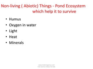 Non-living ( Abiotic) Things - Pond Ecosystem
                 which help it to survive
  •   Humus
  •   Oxygen in water
  •   Light
  •   Heat
  •   Minerals




                         www.makemegenius.com
                        Free Science Videos for Kids
 