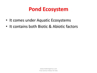 Pond Ecosystem
• It comes under Aquatic Ecosystems
• It contains both Biotic & Abiotic factors




                     www.makemegenius.com
                    Free Science Videos for Kids
 