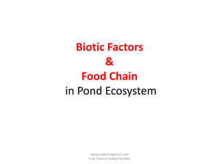 Biotic Factors
         &
    Food Chain
in Pond Ecosystem




     www.makemegenius.com
    Free Science Videos for Kids
 