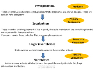 Phytoplankton.                          Producers
These are small, usually single-celled, photosynthetic organisms, also known as algae. These are
basis of Pond Ecosystem
                                                                       Primary
                                                                      Consumers
                                 Zooplankton
These are other small organisms that live in pond , these are members of the animal kingdom tha
are suspended in the water column.
Examples - water fleas, tadpoles. They consume phytoplankton
                                                                           Secondary
                                                                           Consumers
                              Larger invertebrates
              Snails, worms, leeches insects consume these smaller animals
                                                                          Tertiary
                                                                         Consumers
                                   Vertebrates
    Vertebrates are animals with backbones. In a pond these might include fish, frogs,
salamanders, and turtles.             www.makemegenius.com
                                      Free Science Videos for Kids
 